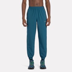 Брюки спортивные Reebok Running pant, размер M INT, синий