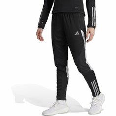 Брюки спортивные adidas Tiro 23 Competition Winterized, размер M INT, черный/серый