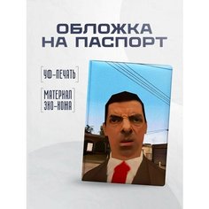 Обложка для паспорта STICKERBOSS, коричневый, голубой