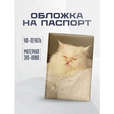 Обложка для паспорта STICKERBOSS