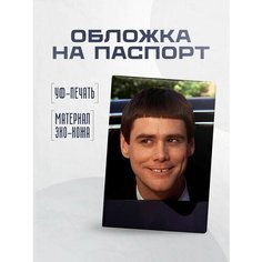 Обложка для паспорта STICKERBOSS, коричневый, синий, бежевый