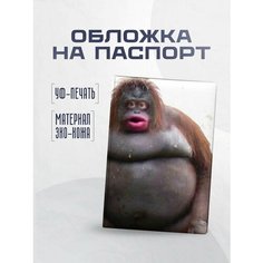 Обложка для паспорта STICKERBOSS, коричневый