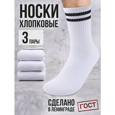 Носки ПАПА ХРЮШЕФФ, комплект, 3 пары, размер 43-44