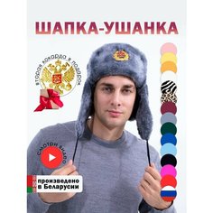 Шапка ушанка Шапка ушанка мужская, женская, утепленная, демисезон, зима для мужчин и женщин, размер 60, серый Нет бренда