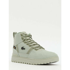 Кеды LACOSTE, размер 40.5, фисташковый