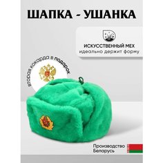 Шапка ушанка Шапка ушанка мужская, женская, утепленная, демисезон, зима для мужчин и женщин, размер 60, зелeный Нет бренда