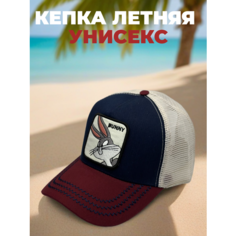 Бейсболка для мужчин, размер 54-60, бордовый Нет бренда