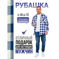 Рубашка , размер 48, белый/синий Нет бренда