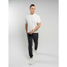 Брюки спортивные Professional, размер 4XL, серый Your Style