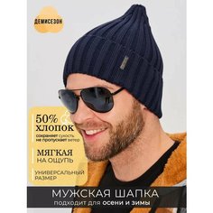 Шапка бини ALDINI Dyglos для мужчин, размер 56-58, темно-синий