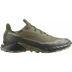 Кроссовки Salomon Alphacross 5 Gtx, полнота F (EU)/ на среднюю стопу, размер 11 UK, зеленый