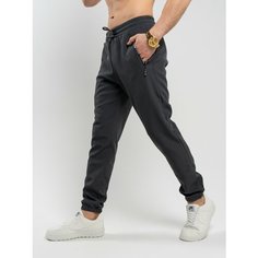 Брюки спортивные Professional, размер 2XL, серый Your Style