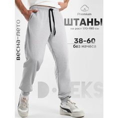 Брюки спортивные DTeks, размер 56, серый