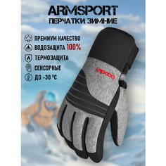 Перчатки ARMSPORT Зима для мужчин, размер М, черный, серый