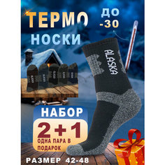 Носки Alaska, комплект, 3 пары, размер 42-48, мультиколор