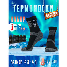 Носки Alaska, комплект, 3 пары, размер 42-48, разноцветный