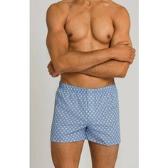 Трусы Hanro Fancy Woven, размер XL, голубой