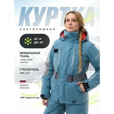 Куртка Dragonfly Зимняя, размер L-176, blue-grey