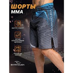 Бермуды Barracuda, размер L, серый/синий
