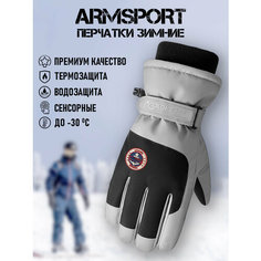 Перчатки ARMSPORT Зима-демисезон для мужчин, размер L, серый, черный