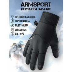 Перчатки ARMSPORT Зима-демисезон для мужчин, размер L, черный