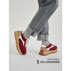 Кроссовки Salamander, полнота 4 (RU)/ на узкую и среднюю стопу, размер 37, бежевый/бордовый