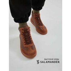 Кеды Salamander, полнота 4 (RU)/ на узкую и среднюю стопу, размер 38, светло-коричневый