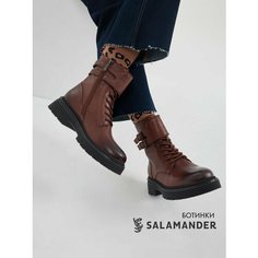 Ботинки дерби Salamander, размер 41, коричневый