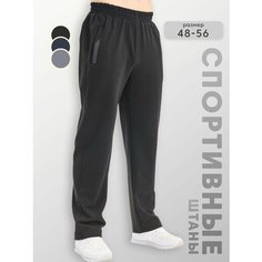 Брюки спортивные , размер 48, черный/черный Yarmarka Palto