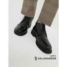 Ботинки дерби Salamander, размер 42, черный
