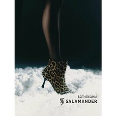 Ботильоны Salamander, размер 39, коричневый