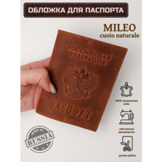 Обложка для паспорта , рыжий Нет бренда