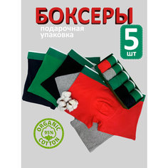 Трусы для мужчин, подарочная коробочка, набор боксеров, комплект из 5 шт., размер L, красный Без бренда