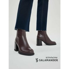 Ботильоны Salamander, размер 40, коричневый