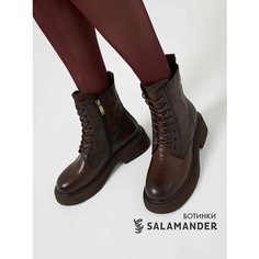 Ботинки Salamander, размер 36, темно-коричневый