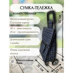 Сумка-тележка , 30 л, 31х92х31 см, сине-зеленый Hakim Shop