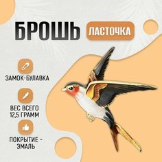Брошь, эмаль, 1 шт., черный в золоте Нет бренда