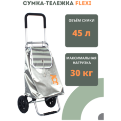 Сумка-тележка Joy Home, 45 л, 39.5х66х32 см, ручная кладь, серебристый