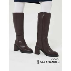 Сапоги Salamander, полнота 4 (RU)/ на узкую и среднюю стопу, размер 36, бордовый