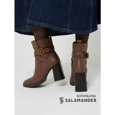 Ботильоны Salamander, размер 40, коричневый