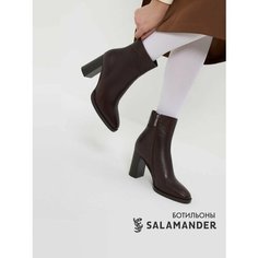 Ботильоны Salamander, размер 36, коричневый