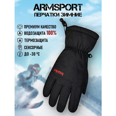 Перчатки ARMSPORT Зима для мужчин, размер М, черный