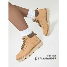 Ботинки тимберленды Salamander, размер 41, коричневый