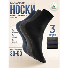 Носки АЛЬША, комплект, 3 пары, размер 41/45, разноцветные