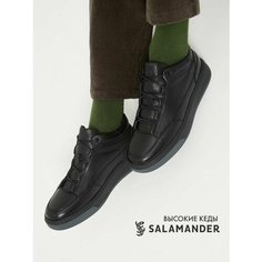 Ботинки дерби Salamander, размер 41, черный