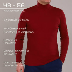 Водолазка Хайтек, размер 50/188, , бордовый
