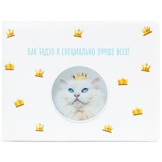 Обложка для зачетной книжки Kawaii Factory, белый/голубой