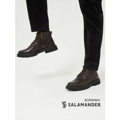 Ботинки дерби Salamander, размер 39, темно-коричневый