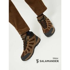 Ботинки Salamander, размер 41, темно-коричневый/черный