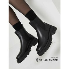 Ботинки челси Salamander, размер 38, черный